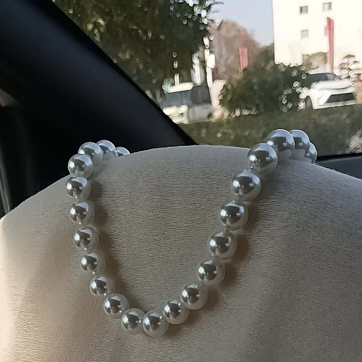 项链女款轻奢小众设计感明星锁骨链2026新款爆款颈链仿珍珠配饰