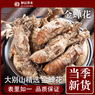 金蝉花大别山精选中药材野生2024年新货知了蟾花虫草孢子粉可泡酒