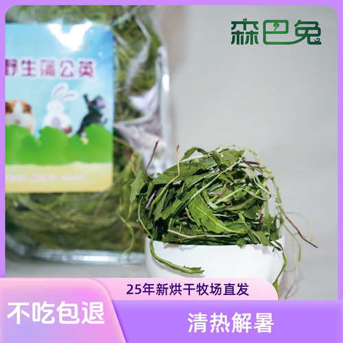烘干蒲公英兔兔龙猫草清热解暑