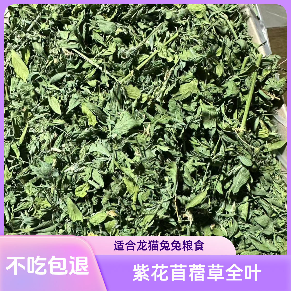 烘干紫花苜蓿草纯叶兔子龙猫荷兰猪苜蓿大叶毛重1公斤