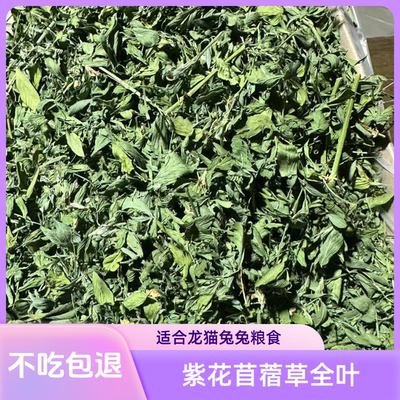 烘干紫花苜蓿草纯叶兔子龙猫荷兰猪苜蓿大叶毛重1公斤
