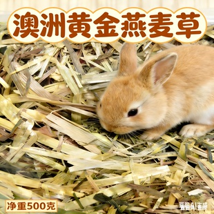 澳洲燕麦草兔子龙猫荷兰猪晒干主粮适口性好可磨牙500g/1斤