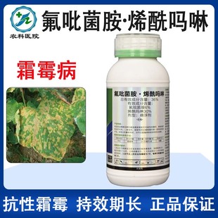 氟吡菌胺烯酰吗啉正品 农药蔬菜莴笋节瓜晚疫霜霉病专用药杀菌剂