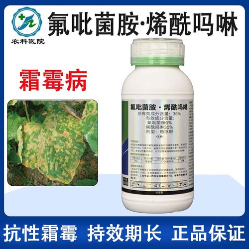 氟吡菌胺烯酰吗啉霜霉病晚疫病
