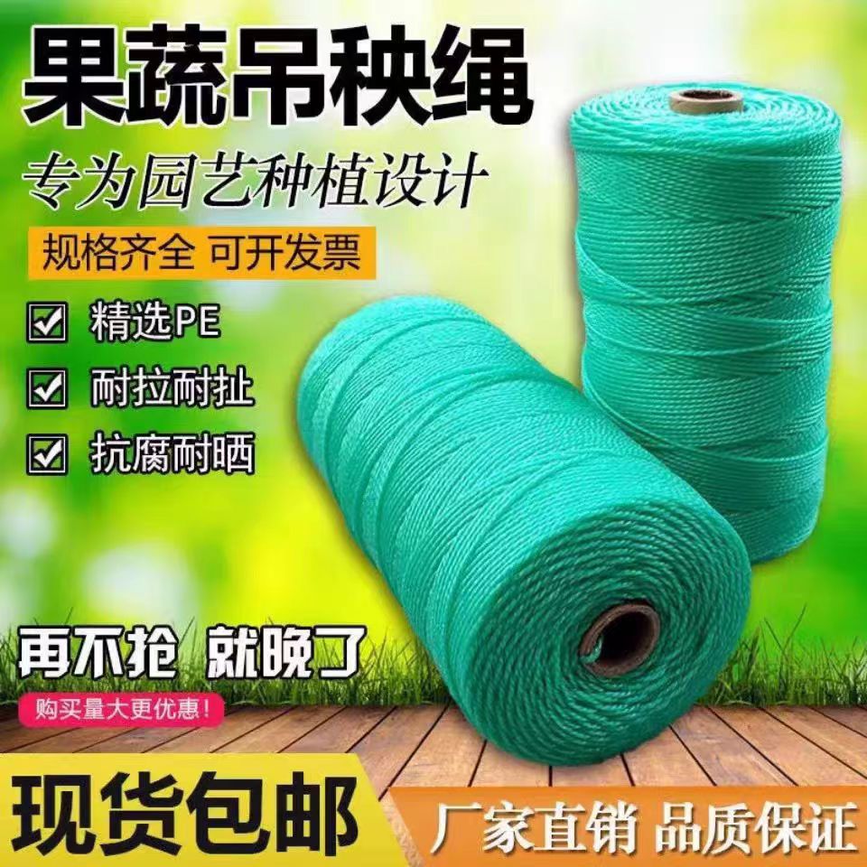 吊秧绳黄瓜西红柿蔬菜大棚吊蔓绳