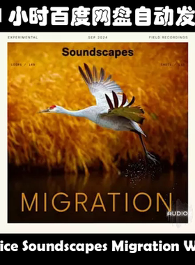 Splice Soundscapes Migration WAV素材包