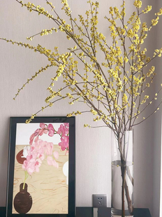 山姜子鲜切枝水培年宵花网红北欧风ins风平替马醉木吊钟发财果