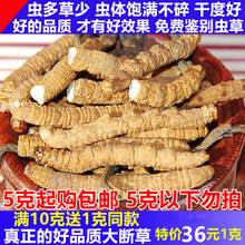 21新草正品 青海玉树头期大断虫草实惠礼盒装 非西藏那曲冬虫夏草