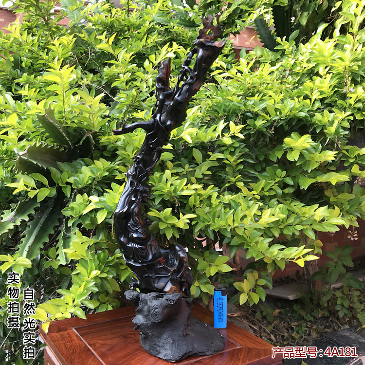 黑珊瑚海柳风水保平安摆件