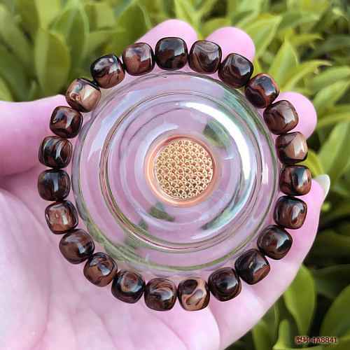 保真海柳手串海神柳包邮