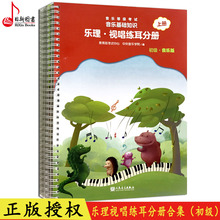 乐理视唱练耳分册初级上下册共2本音乐等级考试音乐基础教程 人民