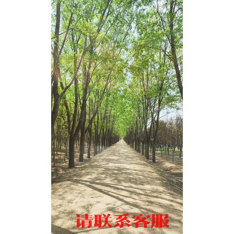 议价出售长期供应各种品牌室分器件天线馈线价格非常美丽需要的老