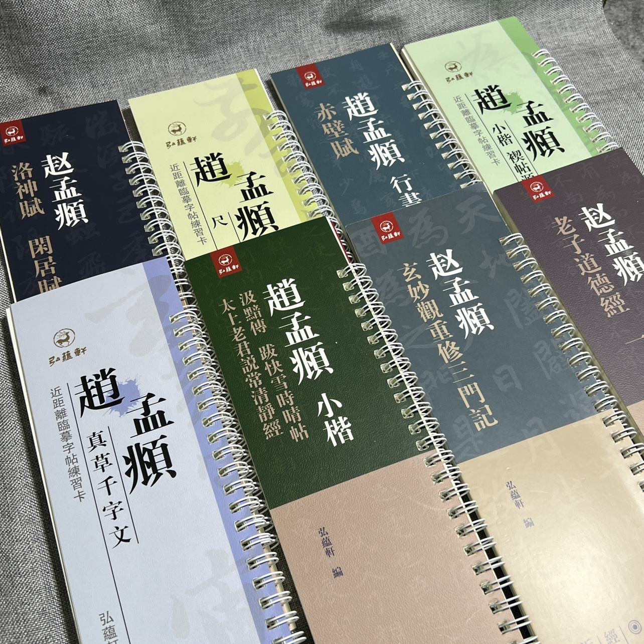 赵孟頫王羲之近距离临摹毛笔帖