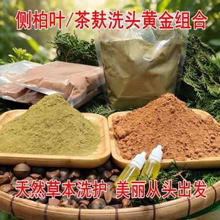 广西头道天然茶麸粉洗头纯山茶籽茶枯养护发侧柏叶粉物理压榨洗碗