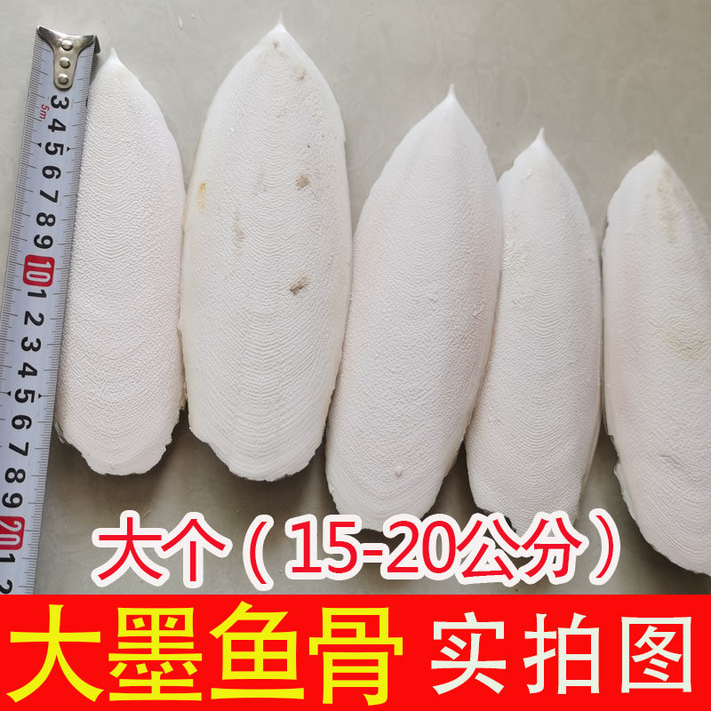海螵蛸 墨鱼骨 精选大块大片乌贼骨墨鱼骨鹦鹉鸟宠物乌龟磨牙