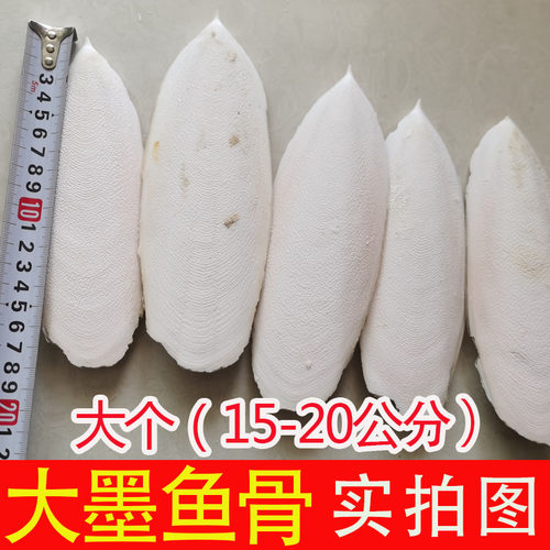 海螵蛸 墨鱼骨 精选大块大片乌贼骨墨鱼骨鹦鹉鸟宠物乌龟磨牙