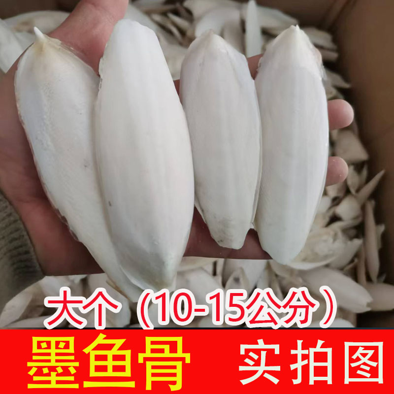 墨鱼骨乌贼骨墨鱼骨块鹦鹉补钙磨牙鸟食乌龟宠物仓鼠玩具脱盐无盐