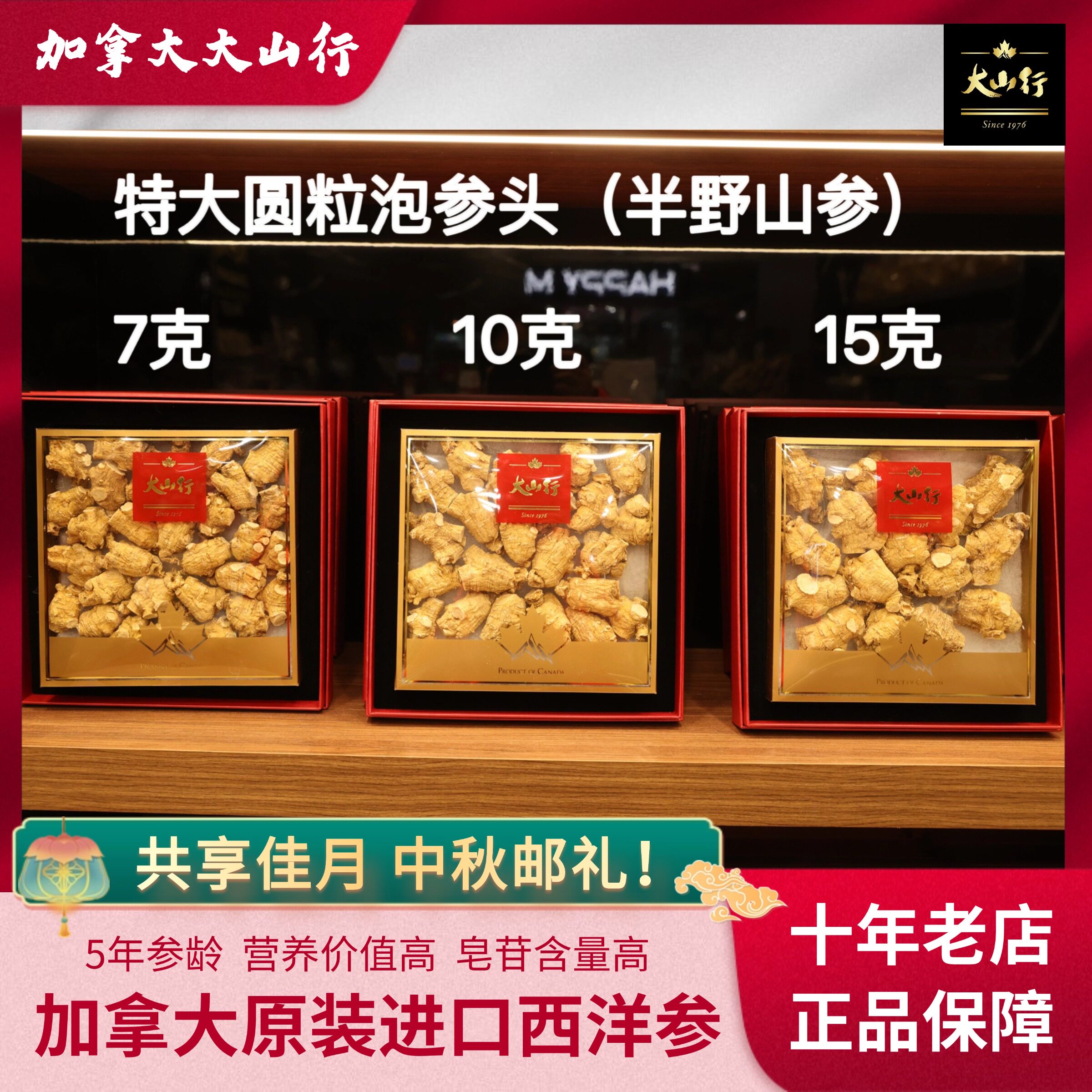 加拿大大山行西洋参半野山参7克/10克/15克特大泡参头国内现货