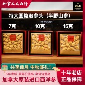 加拿大大山行西洋参半野山参7克 15克特大泡参头国内现货 10克