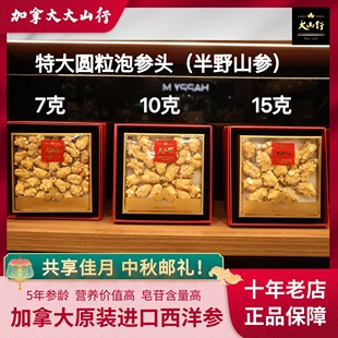 加拿大大山行西洋参半野山参7克/10克/15克特大泡参头国内现货