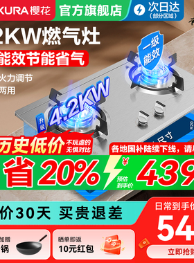 樱花燃气灶家用双灶4.2KW不锈钢嵌入式台嵌两用液化气煤气灶GBZ04