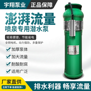 QSP喷泉泵铸铁不锈钢电泵380V景观水池造景水泵QS喷泉专用潜水泵