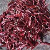 四川特产干辣椒广元 苍溪农家自种红辣椒干香辣小米椒朝天椒50g