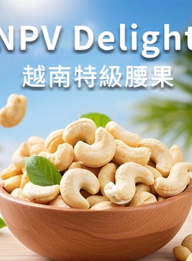 临期促销越南NPV大粒腰果去皮盐焗轻咸坚果休闲零食423g每日轻食