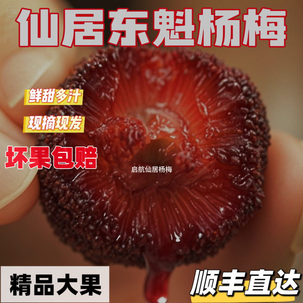 露天仙居杨梅新鲜正宗特级大东魁杨梅浙江现摘现发颗粒装当季新鲜