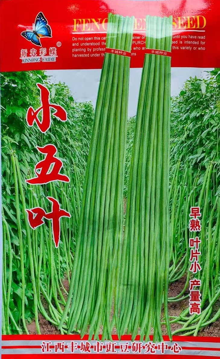 江西小五叶豇豆种子高产特长豆角架豆种子籽大田基地用种四季播种