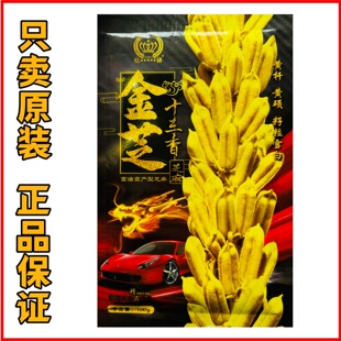 金芝十三香白芝麻黄杆黄蒴大籽耐旱高油春夏芝麻种子可机收芝麻种