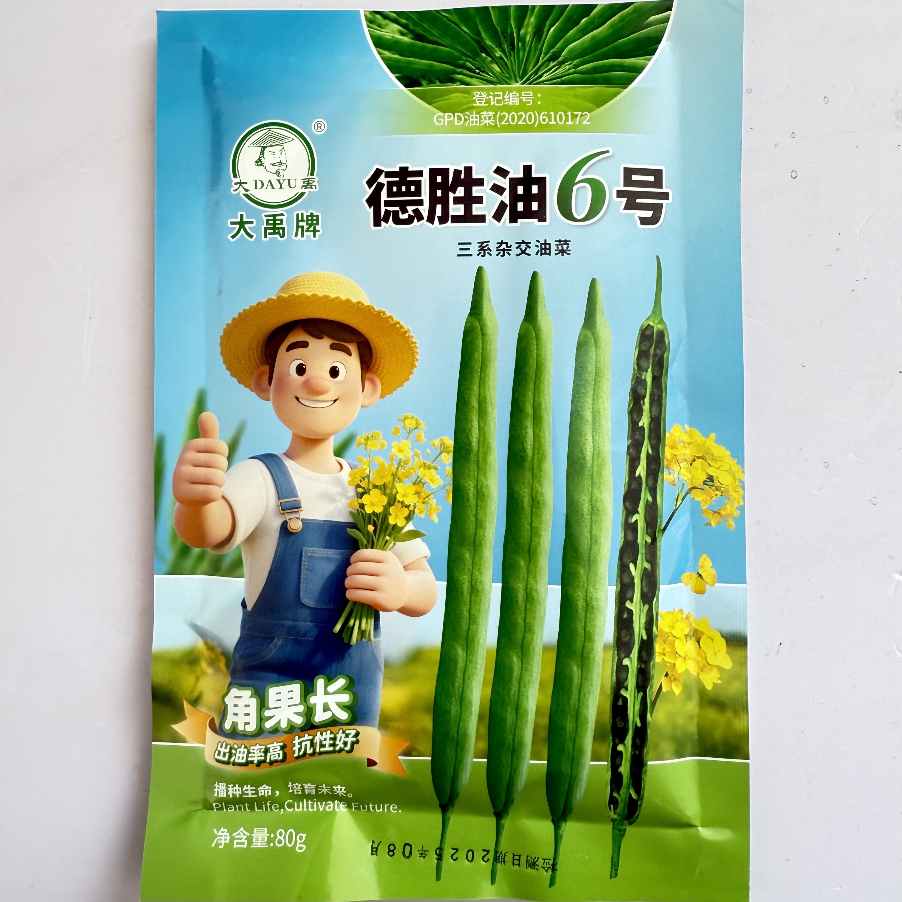 德胜油6号三系杂交油菜花种子角果长出油高抗倒秋播高产油菜种籽