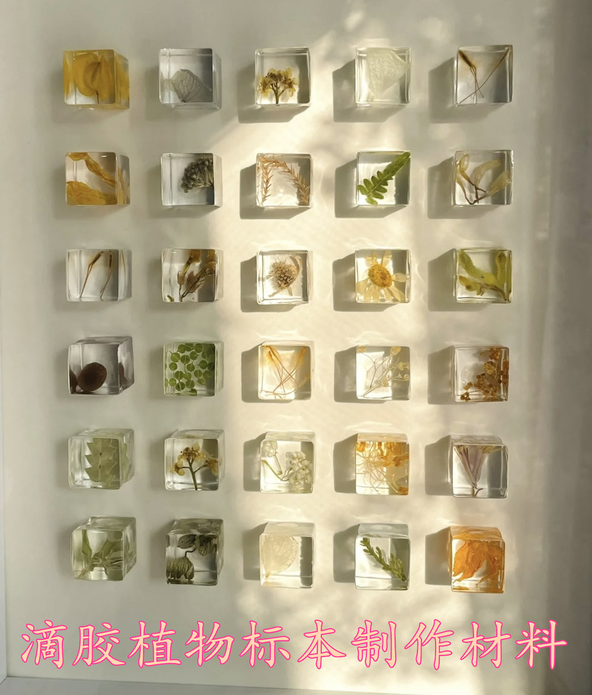 植物滴胶方块标本模具 手作干花种子立体新手制作diy滴胶材料配件