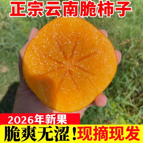 糖心脆柿子次郎脆甜不涩特大果