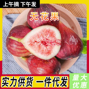 顺丰包邮现摘新鲜无花果现发大果当季孕妇水果红皮无花果整箱批发