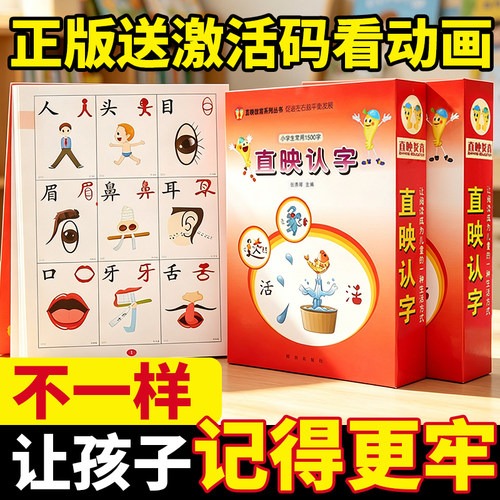 直映认字儿童幼儿园象形图识字