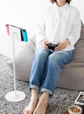 山崎Switch立式桌面收纳支架