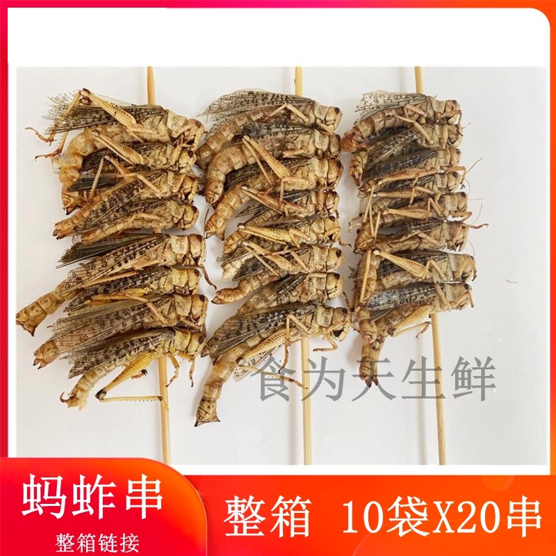 蚂蚱串10袋x20串 蝗虫串 蚱蜢串草蜢串昆虫串油炸半成品 烧烤食材