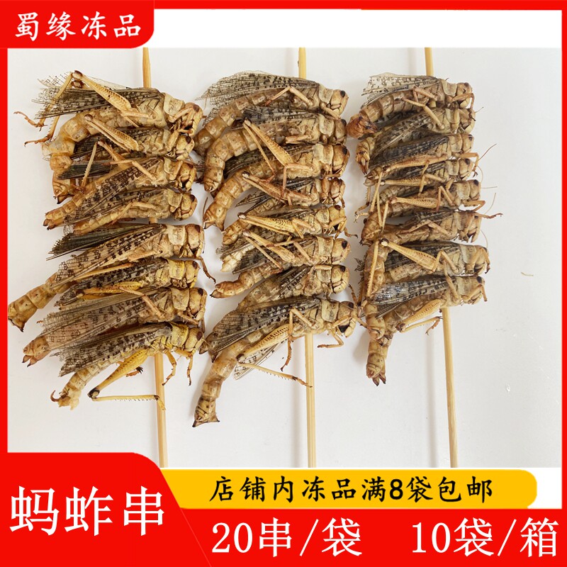 蚂蚱串20串 烧烤串 蝗虫串 冷冻半成品 户外烧烤食材 铁板油炸串