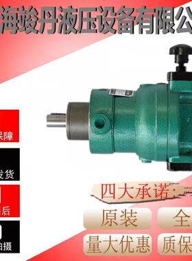 10SCY 25SCY 40SCY 63SCY 80SCY 100SCY 160SCY14-1B轴向柱塞油泵