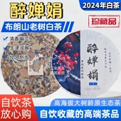 2024年醉婵娟布朗山纯料乔木老古树普洱白茶叶饼红送大礼口粮300g