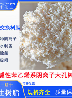 强碱性阴离子交换树脂