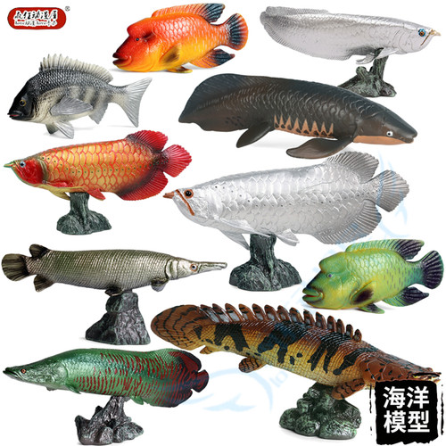 仿真海洋动物罗非鱼苏眉鱼恐龙鱼