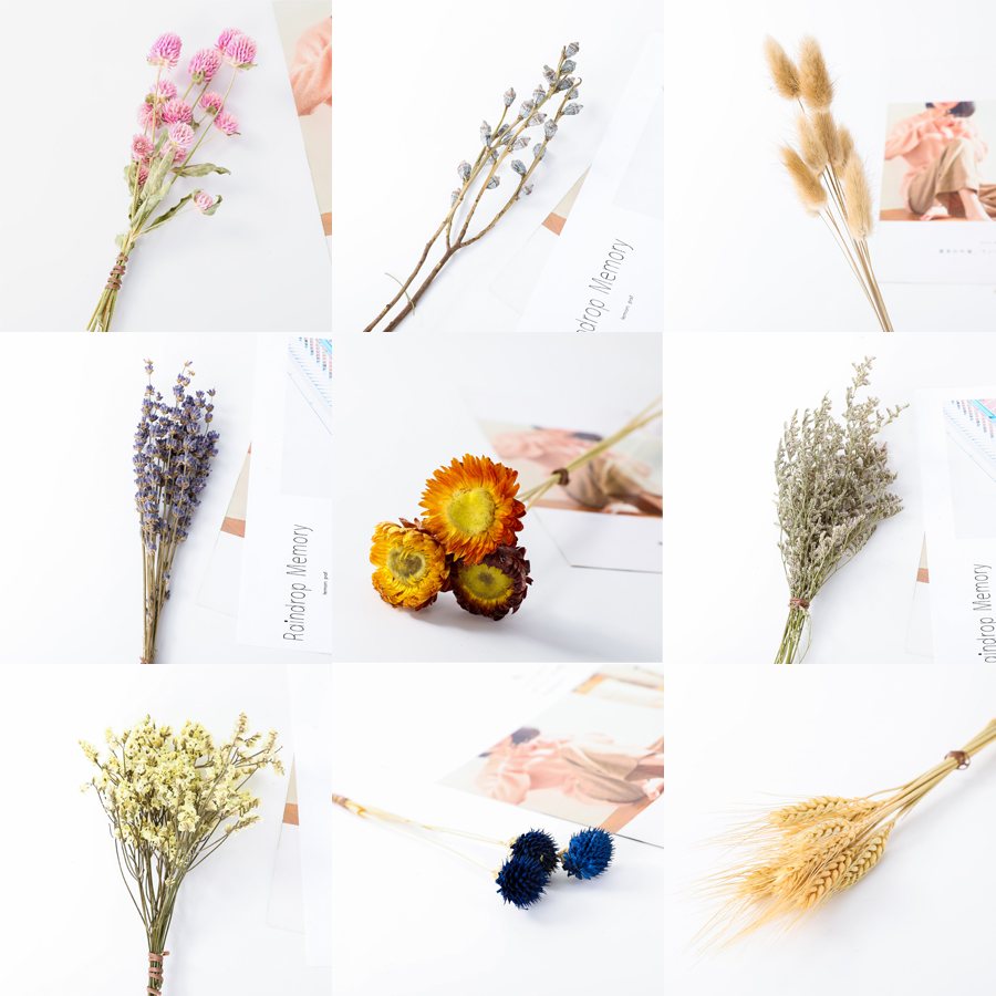 ¸É»¨»¨ÊøÂúÌìÐÇÞ¹Ò²ÝÓȼÓÀûÂóËëС³û¾ÕÎðÍüÎÒÍøºìins»ì´îdiy²ÄÁÏ