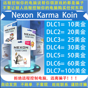 美国Nexon国际服POE/DFO冒险岛Karma Koin点卡KK 10 50 100美卡