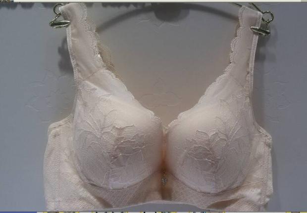 露蒂诗正品内衣薄海棉蕾丝美背款软钢圈调整型69312文胸70B70C