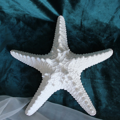 白色海星贝壳海洋风手工摆件