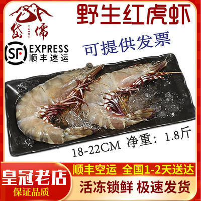 海南鲜活速冻野生红爪大虾