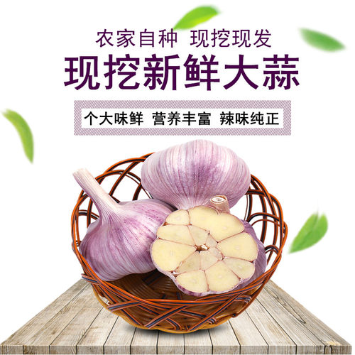 新鲜现挖鲜蒜紫皮大蒜
