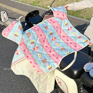 电动车挡风被夏季 通用 防晒防紫外线高颜值电瓶车防风罩带坐垫四季